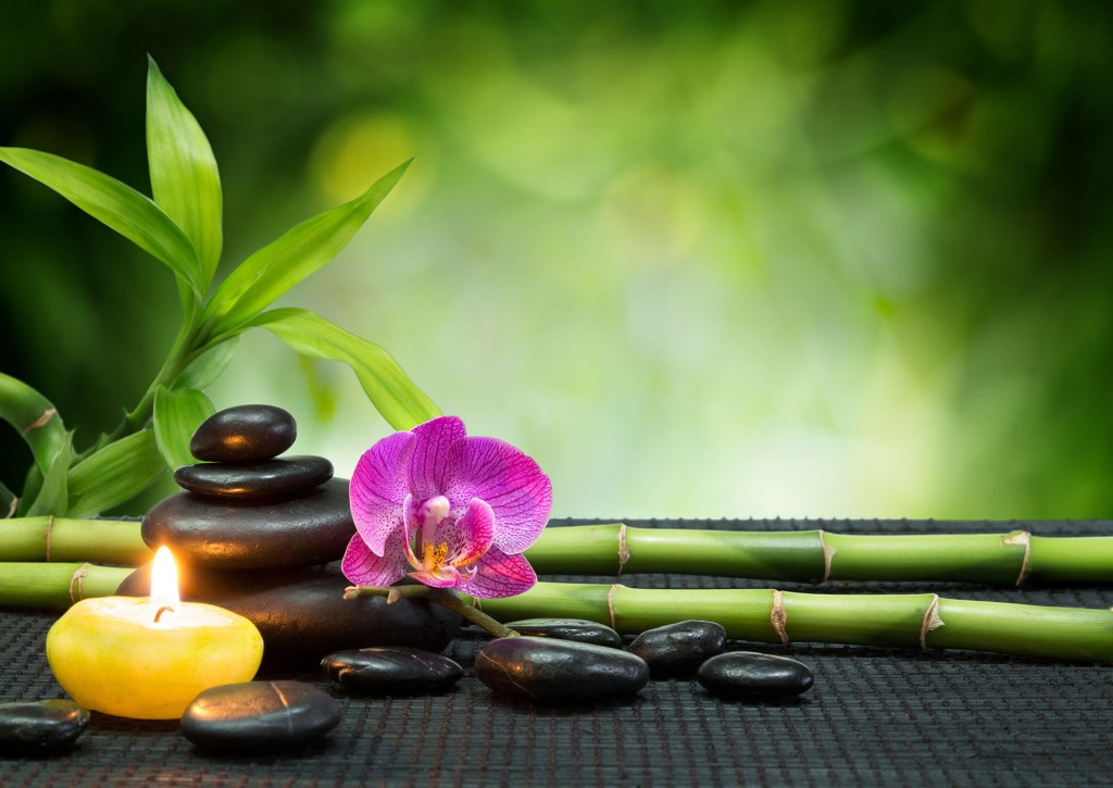 🌿 Votre bien-être commence par les bons choix 🌿