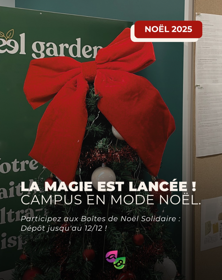 ✨ La magie de Noël s’est installée sur nos campus