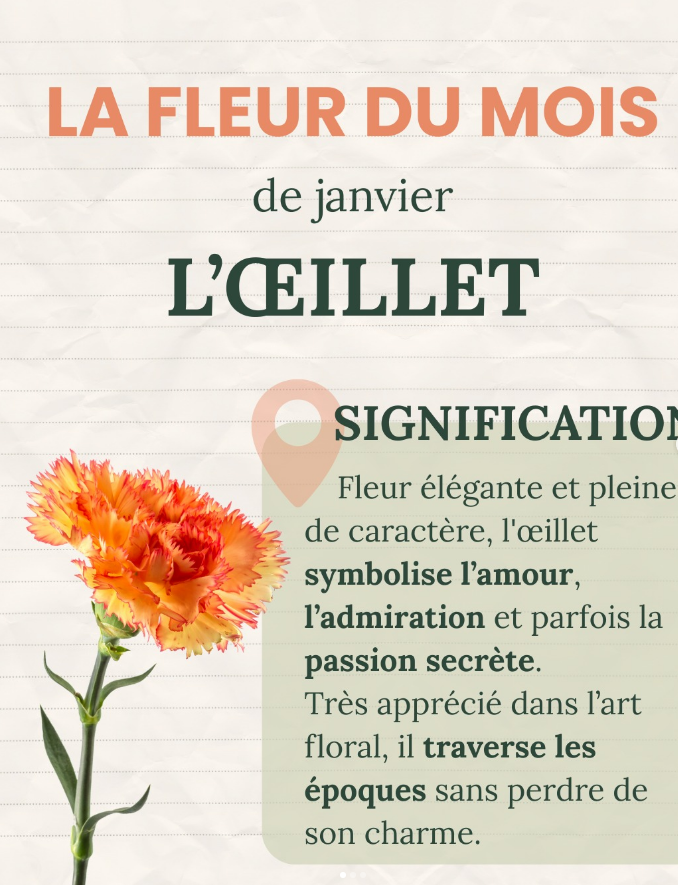 💬 Et vous, que vous inspire l’œillet ?