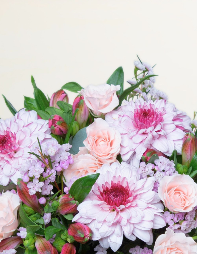✨ Découvrez le bouquet Pip Pretty ✨