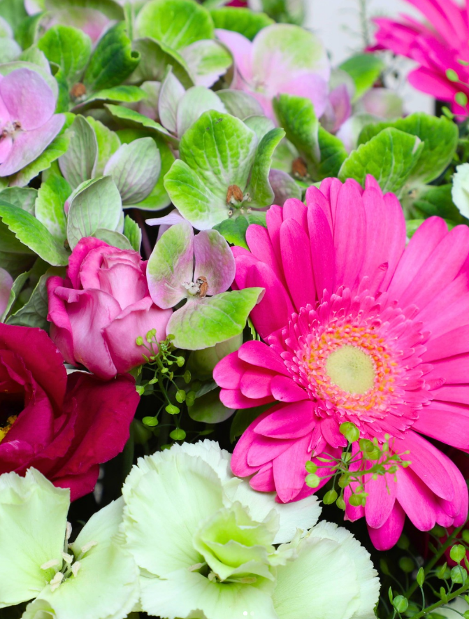 Découvrez notre bouquet Panache 💐