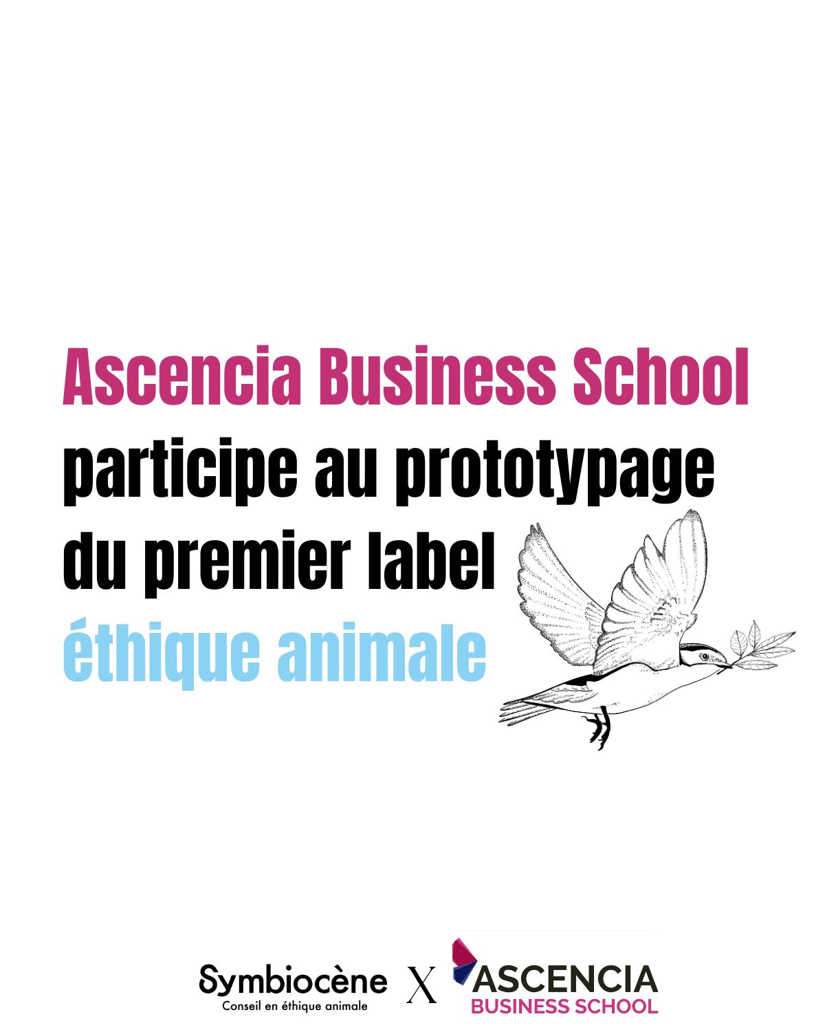 🌍 Ascencia s’engage pour faire évoluer les pratiq