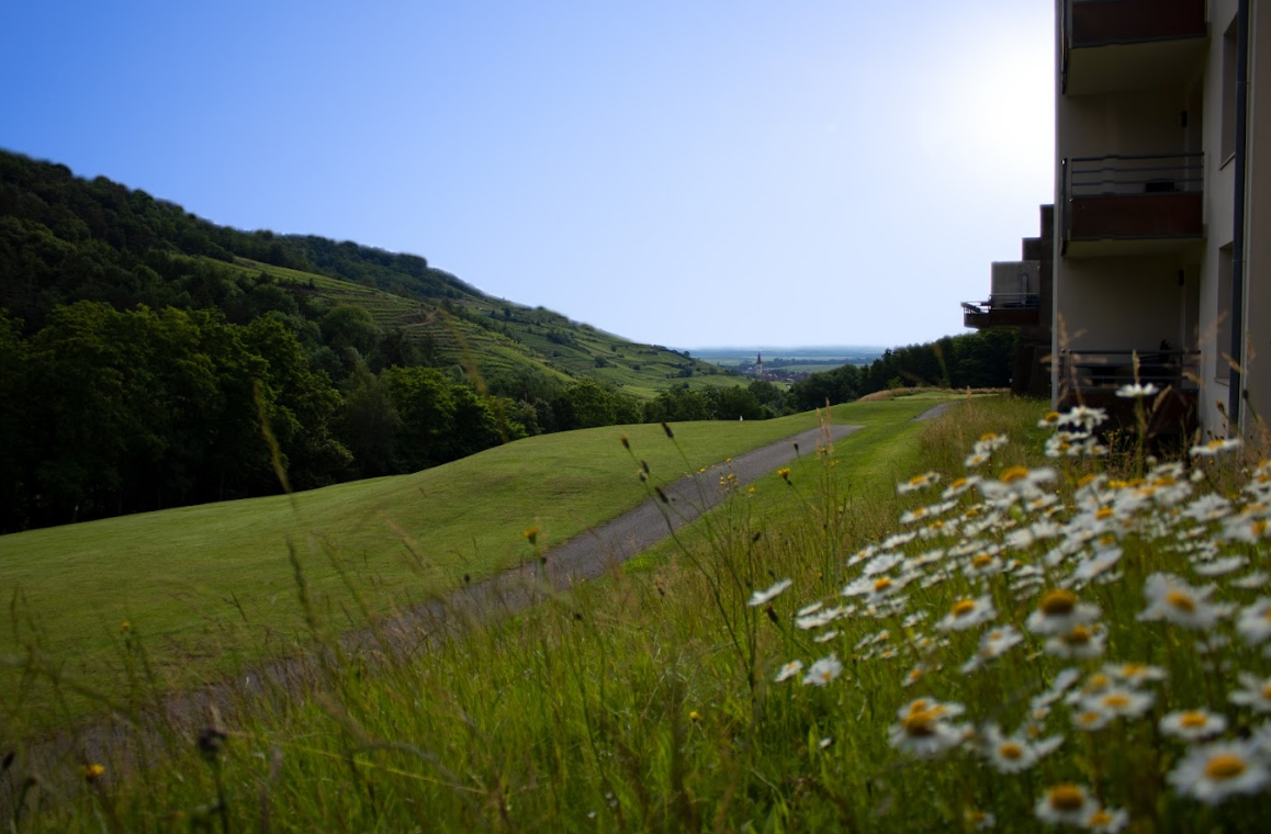 -30% pour découvrir l’Alsace 🌿
