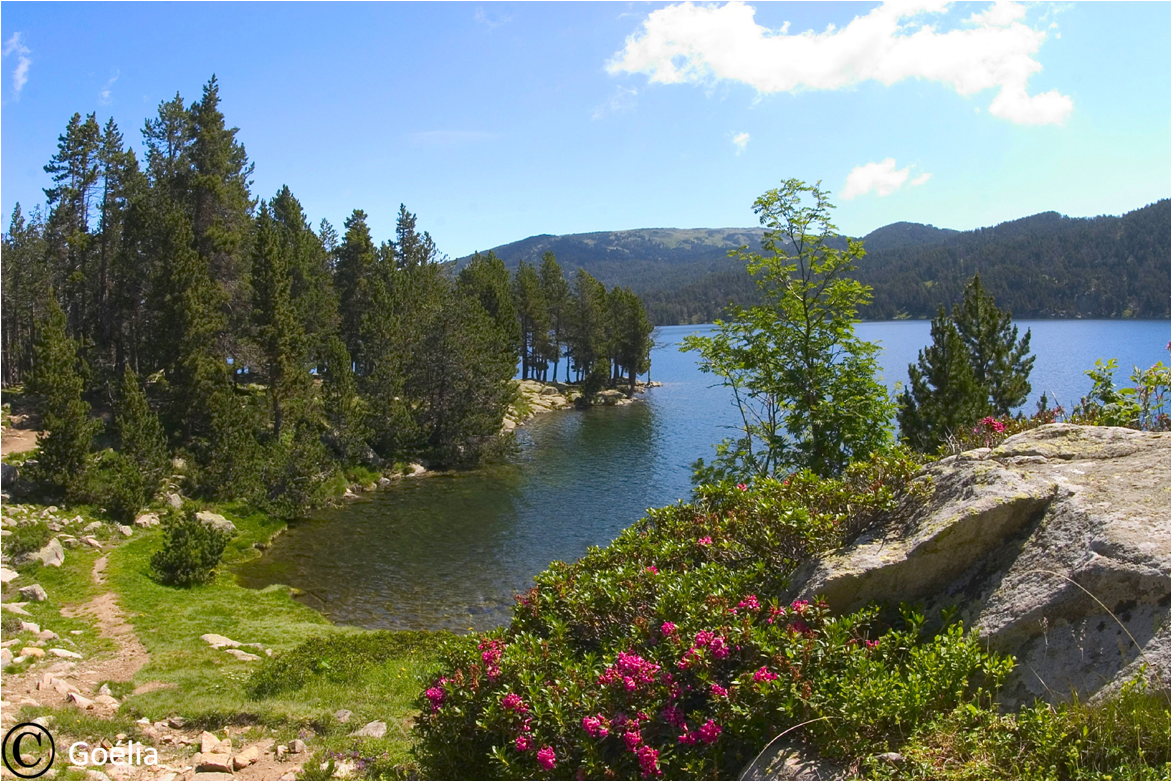 🍂 Respirez, vous êtes à Font-Romeu
