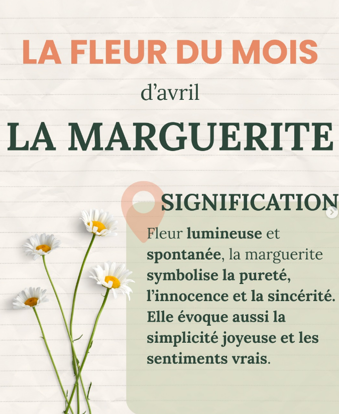 🌼 Avril met à l’honneur une fleur pleine de simpl