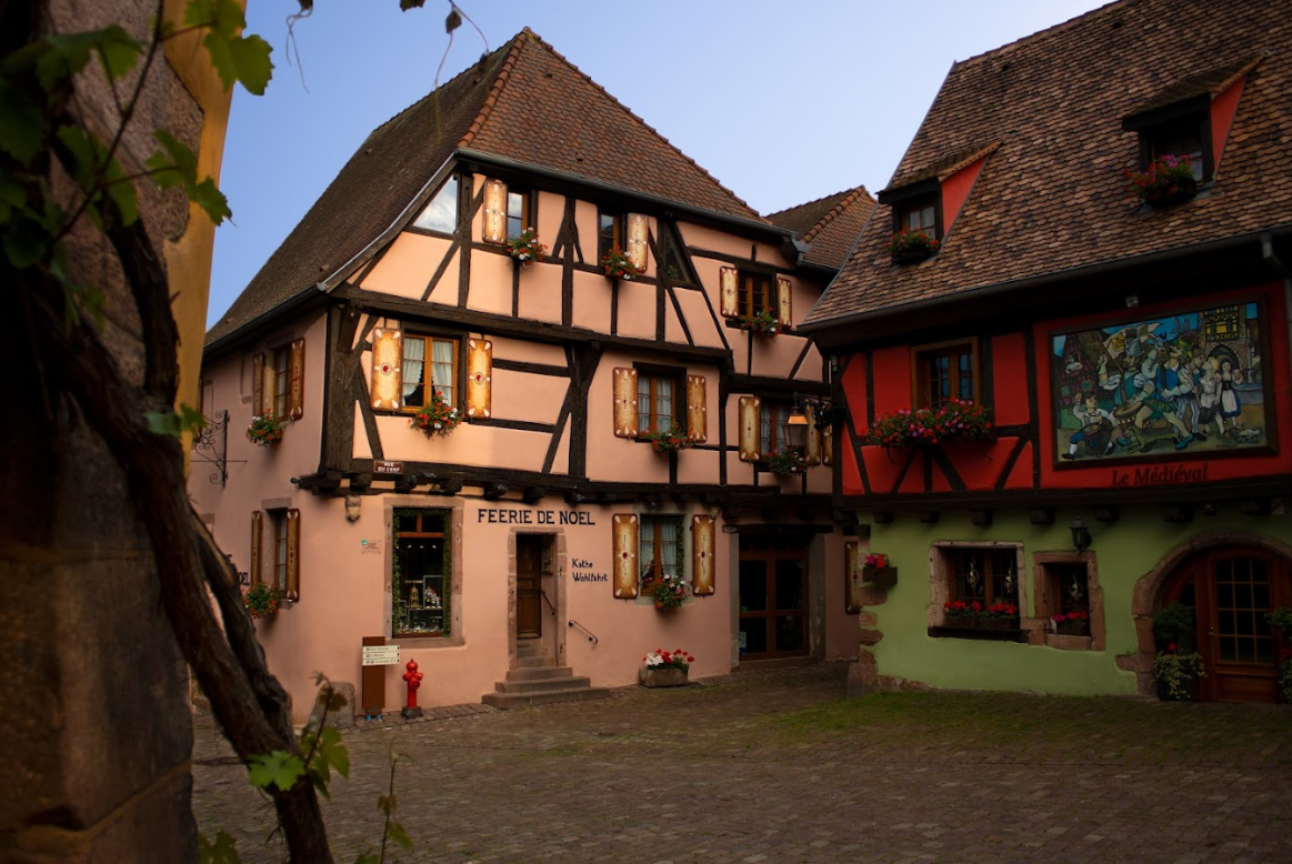 🍂 Un automne paisible au cœur des vignes d’Alsace
