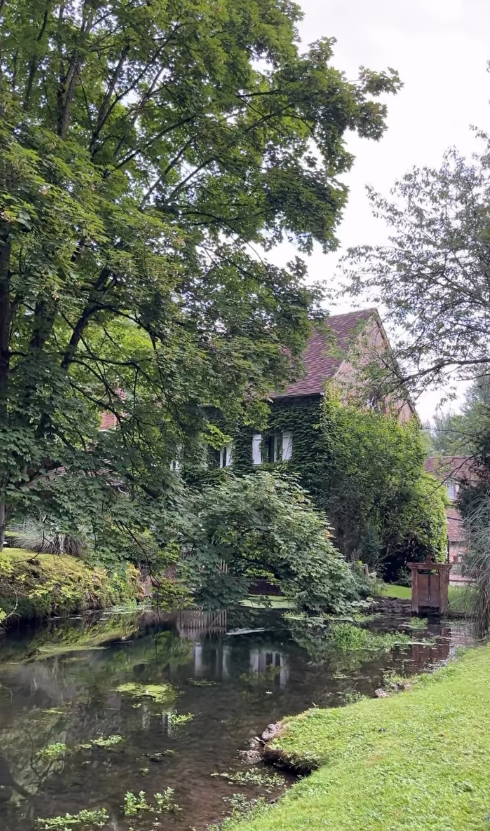 🌿 Certains lieux invitent naturellement à ralenti