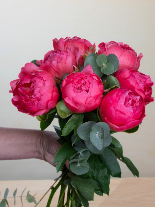 🌸 Le grand retour des pivoines commence avec la C