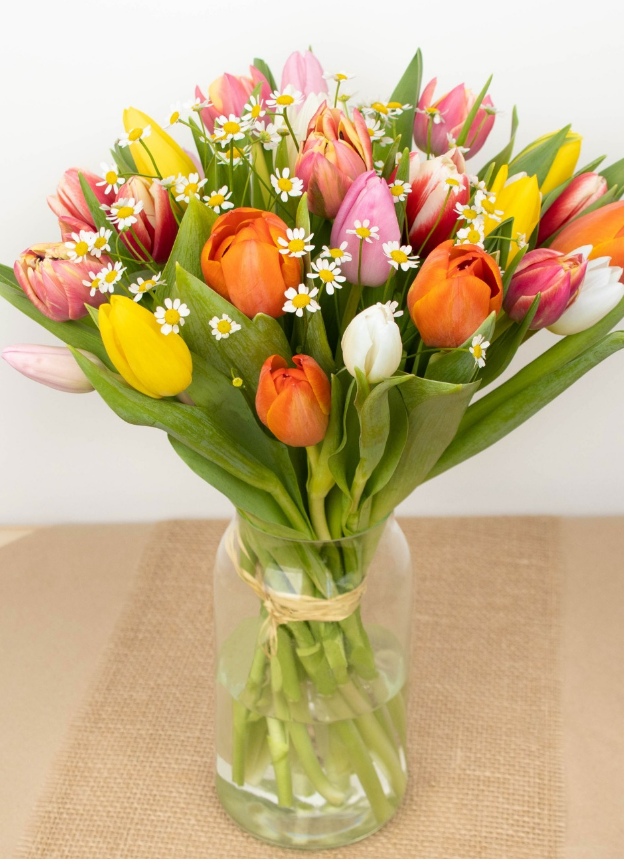 🌷 Adorables tulipes : le bouquet parfait pour la