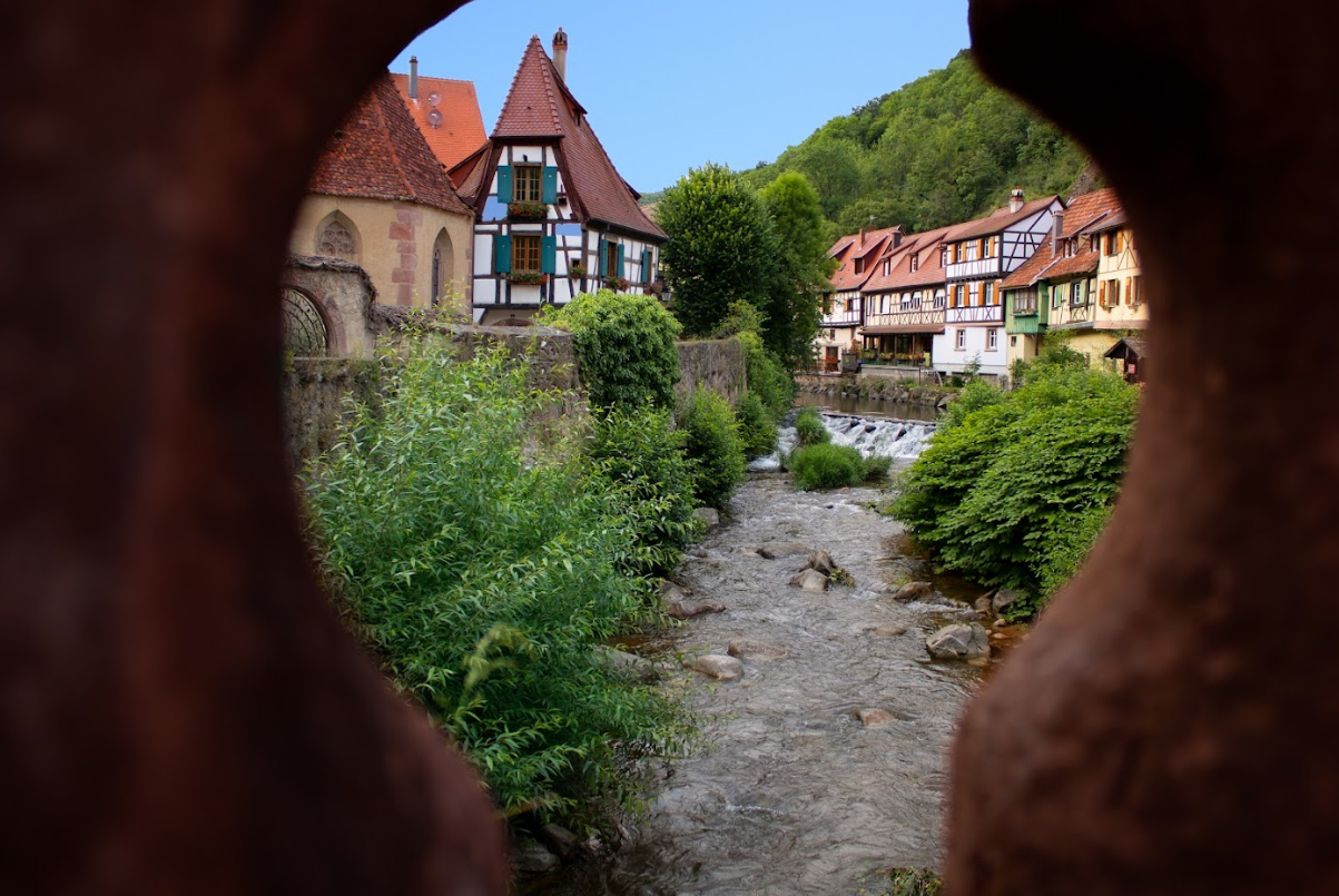 🍂 Un automne paisible au cœur des vignes d’Alsace